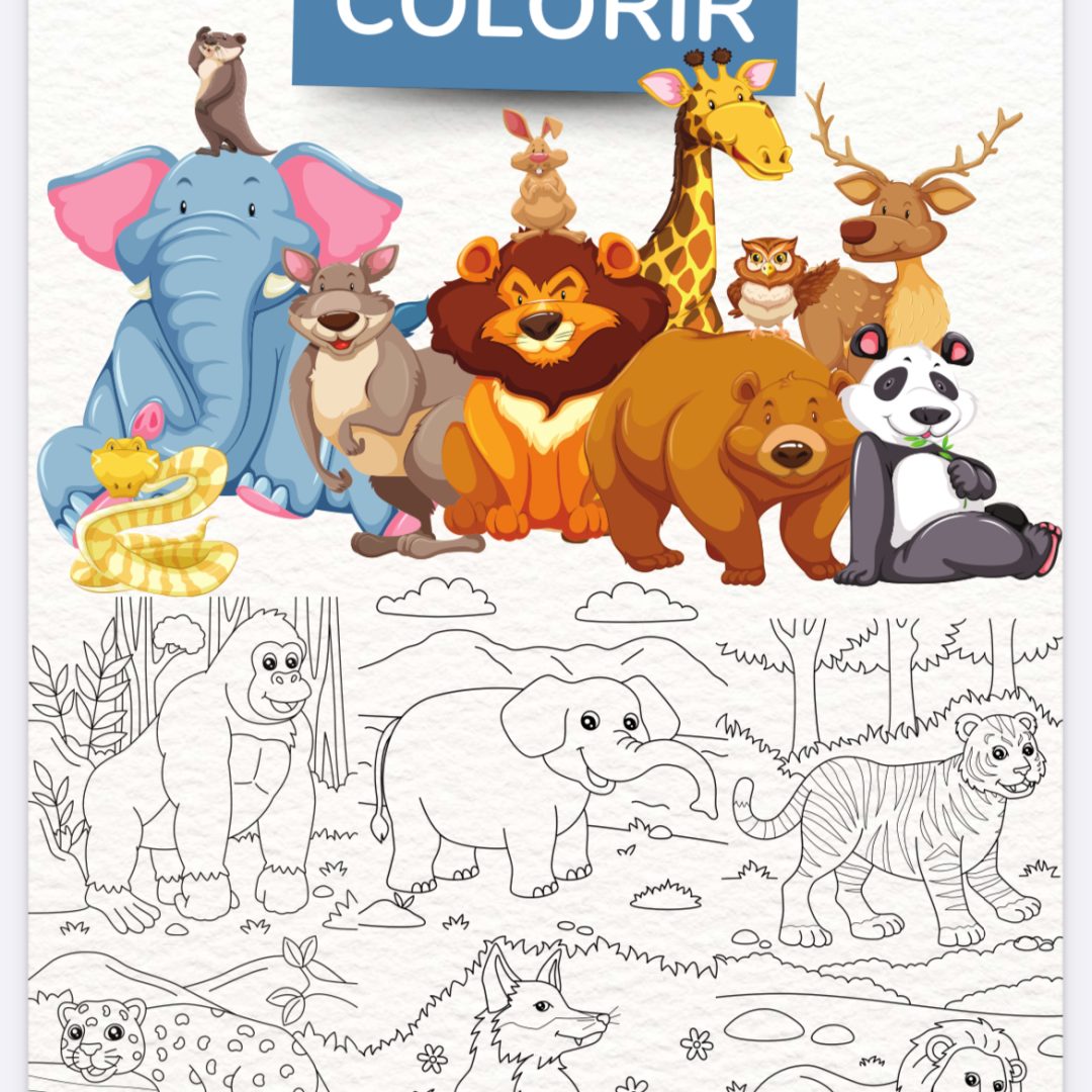 Livro de colorir